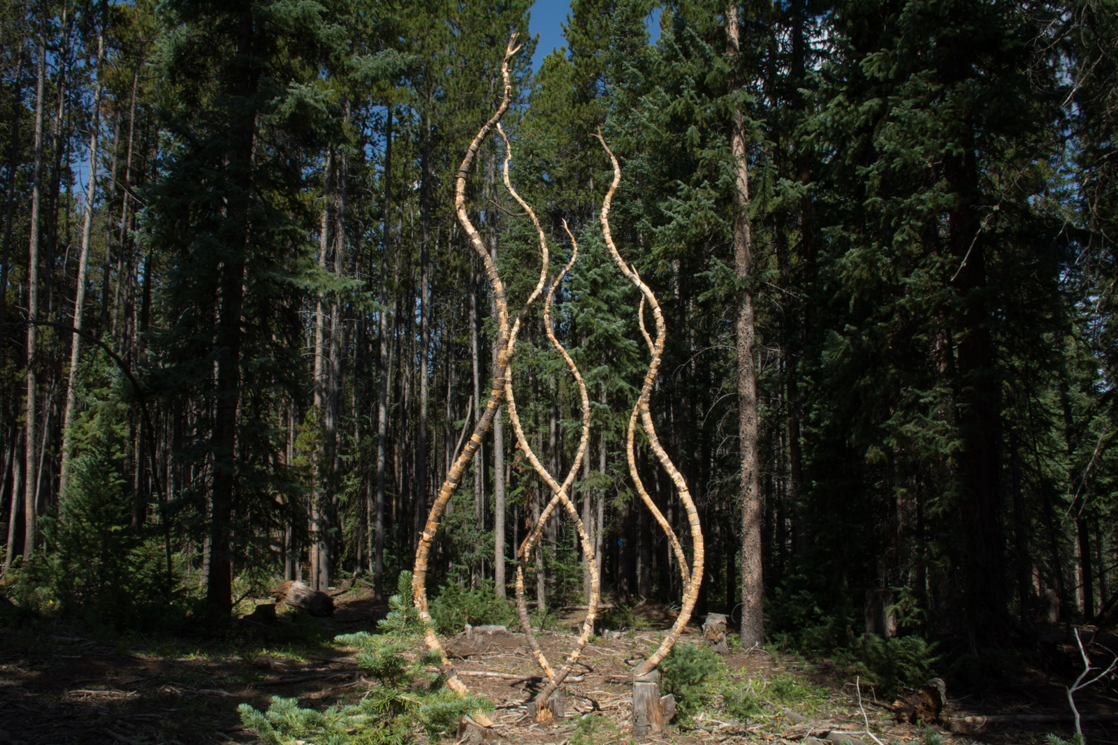 Trail Mix - 2015 Sculpture called Hume's Guillotine built on the Moonstone Trail